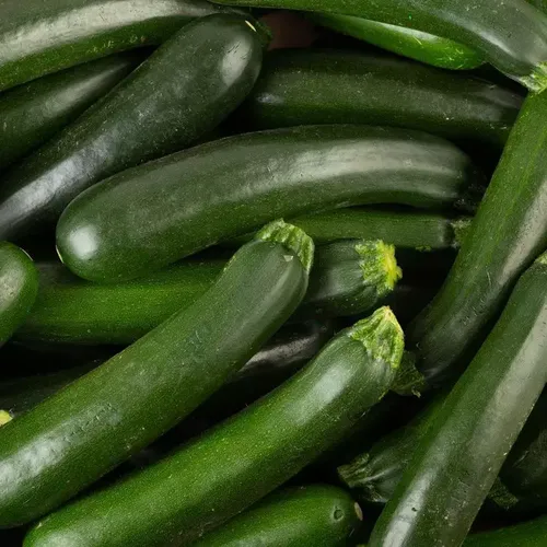 Courgette verte allongée