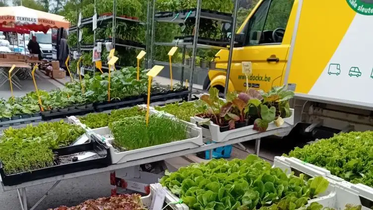 Marché d'Oster