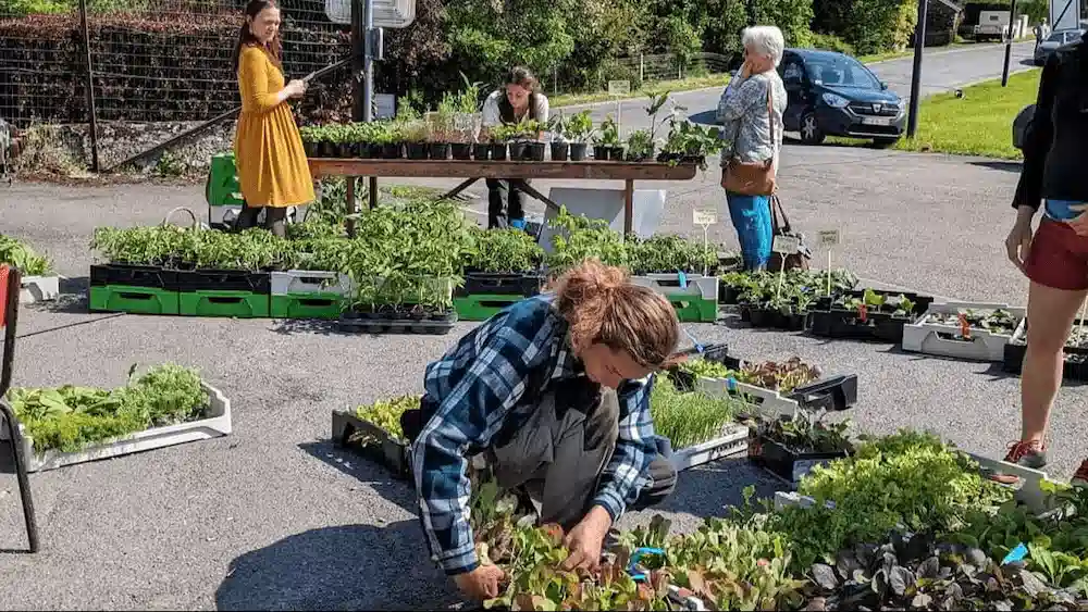 Marché de Rendeux