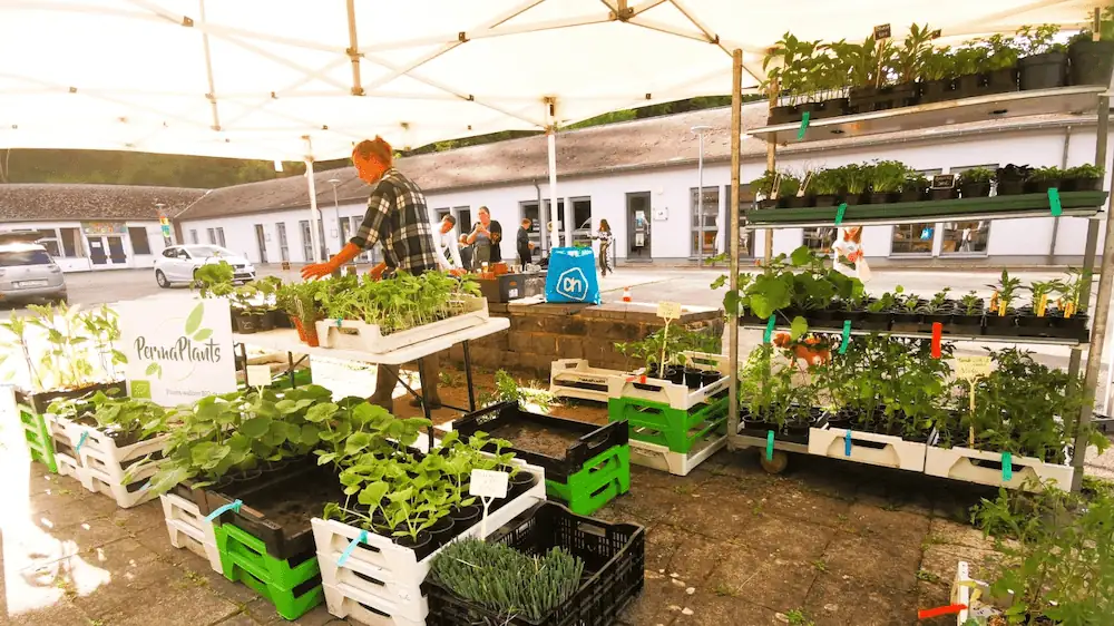 Marché de Rochefort