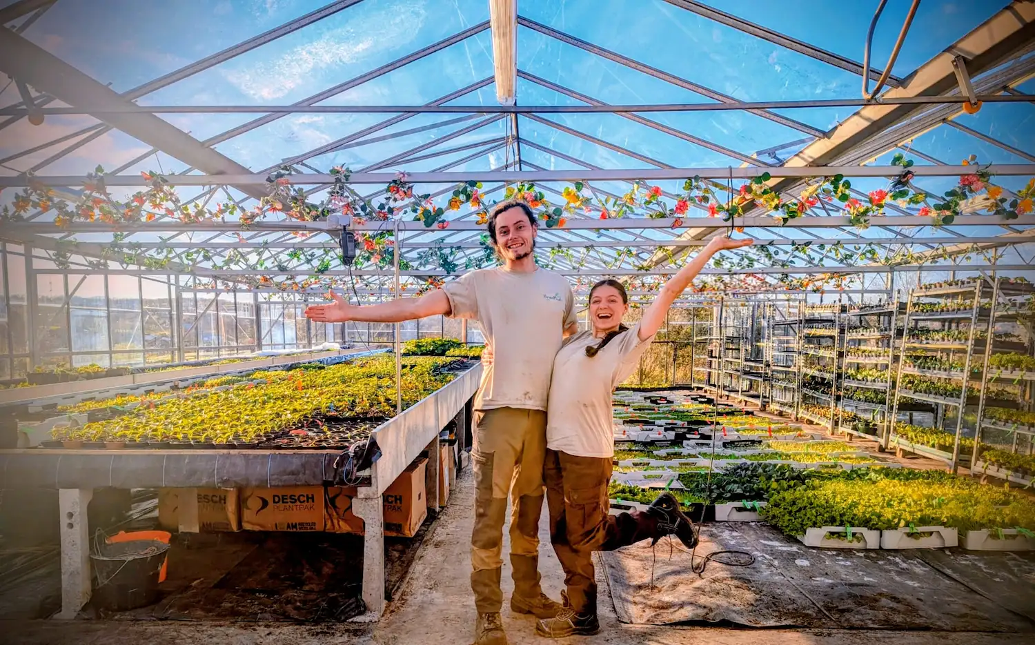 Marché PermaPlants – pépinière BIO en Wallonie